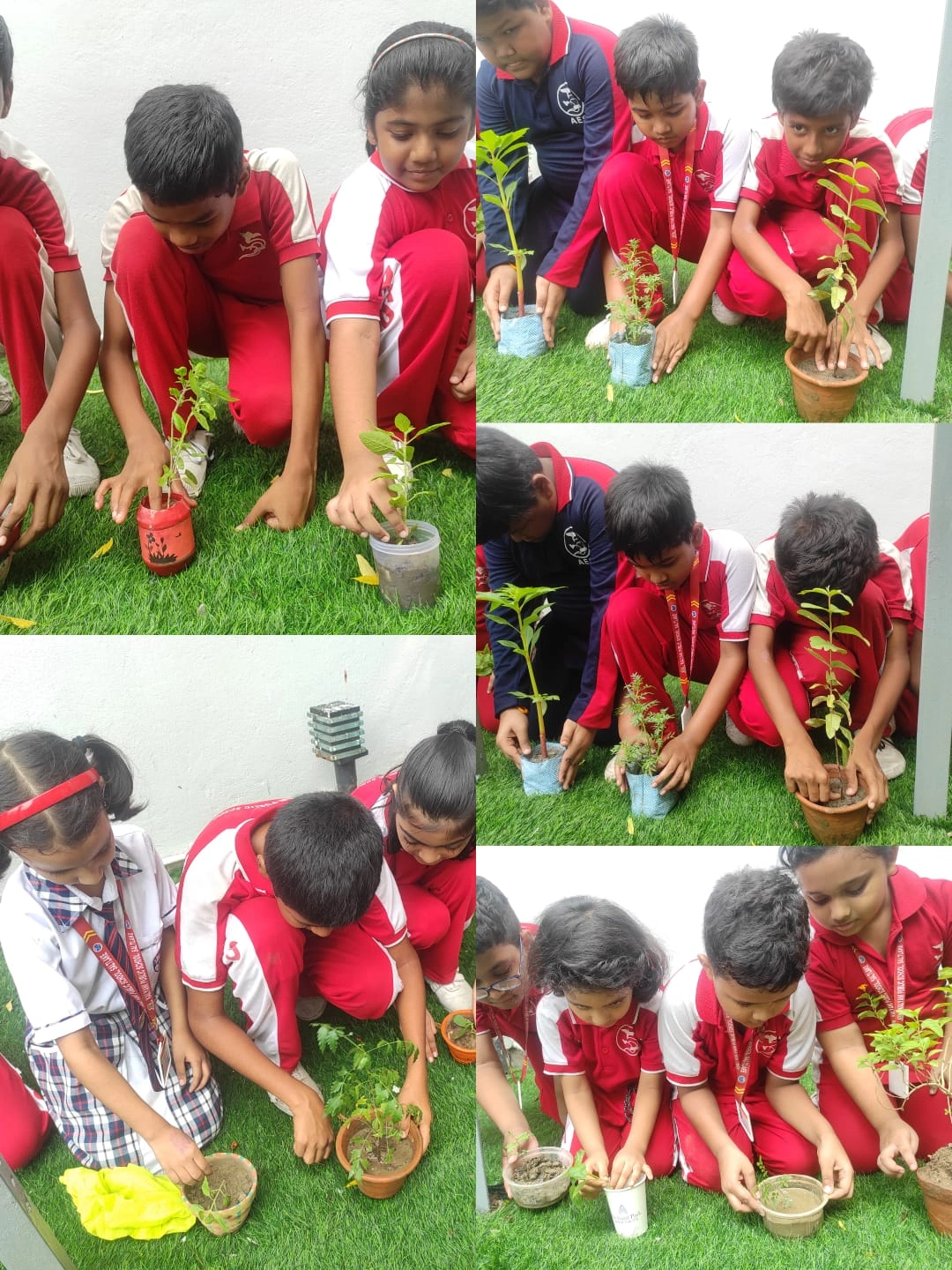 Students participating in an environmental awareness activity
